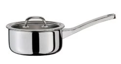 Spring Finesse Steelpan Met Glasdeksel ø 16 Cm Rvs Glans