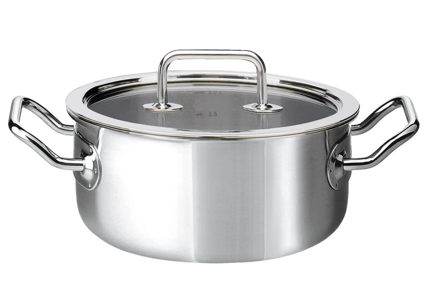 Spring Brigade Braadpan Met Glasdeksel ø 20 Cm Rvs 3 Spring Brigade Braadpan Met Glasdeksel ø 20 Cm Rvs